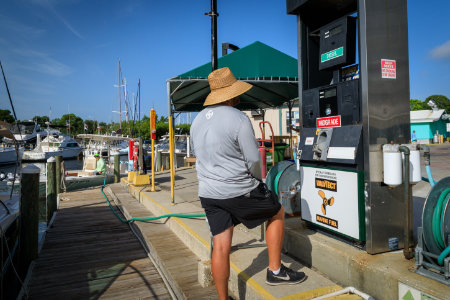 Harborage Marina